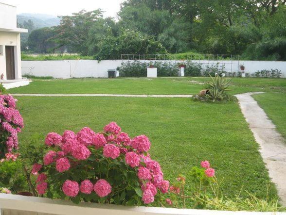 Palatino Studios Agia Paraskevi  Luaran gambar