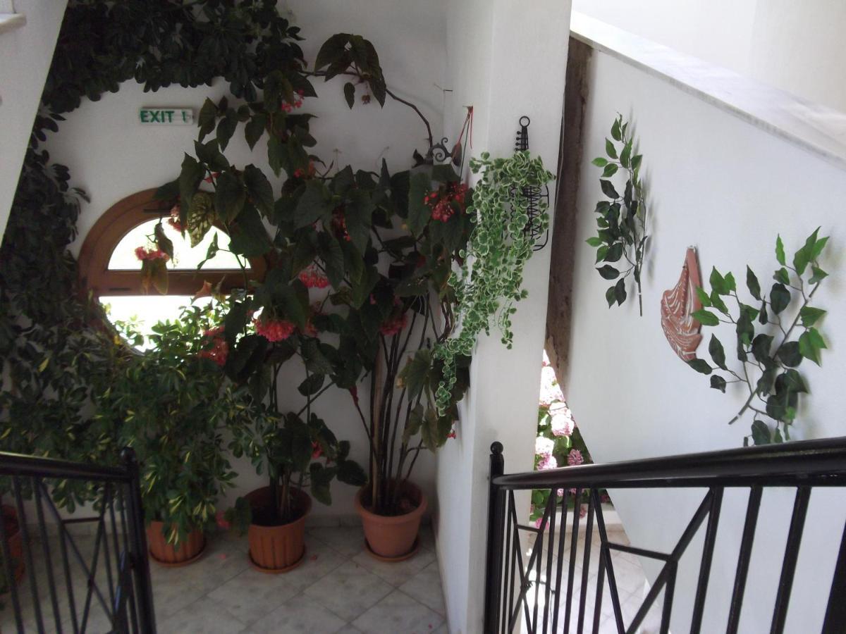 Palatino Studios Agia Paraskevi  Luaran gambar