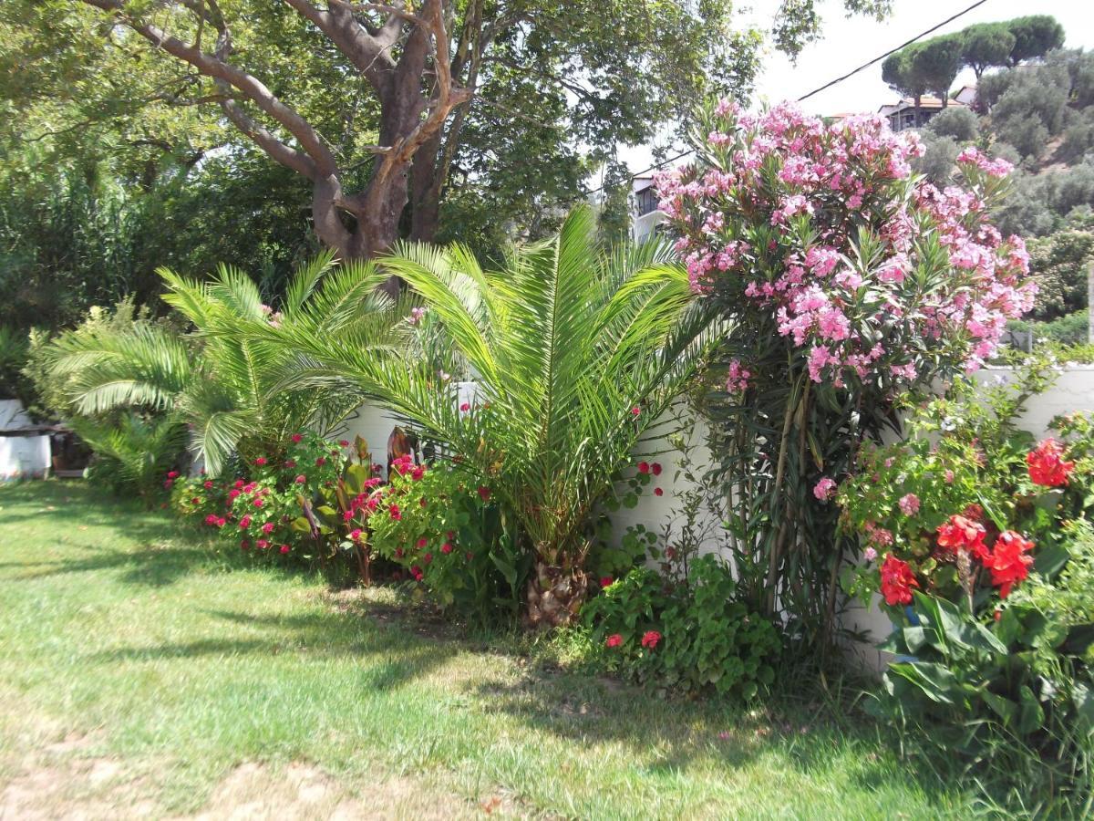 Palatino Studios Agia Paraskevi  Luaran gambar
